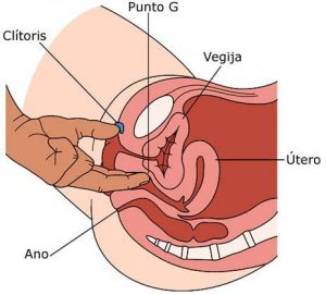 eyaculación femenina